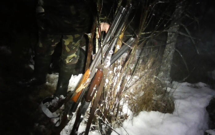 В Слуцком районе во время легальной охоты на кабана охотники специально застрелили лося