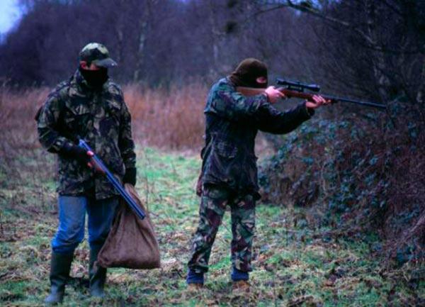 Пять браконьеров задержаны в Слуцком районе за незаконную охоту на лося