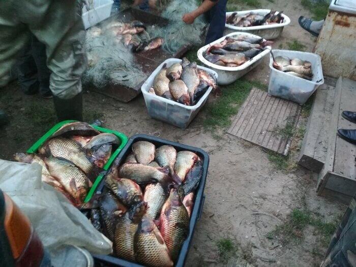 В Копыльском районе задержали рыбаков-нарушителей с уловом на 12 мешков